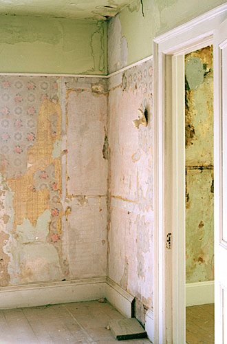 Laura Nash, Green Wall, , Upstate New York, 2006